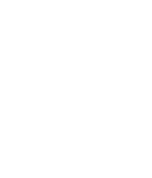 COSMOS X17